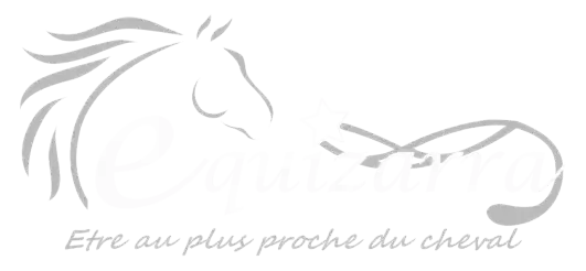 Equizarra Poney Club A Castres Gironde Equizarra Poney Club A Castres Gironde Logo 1 1