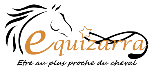 Equizarra Poney Club A Castres Gironde Logo