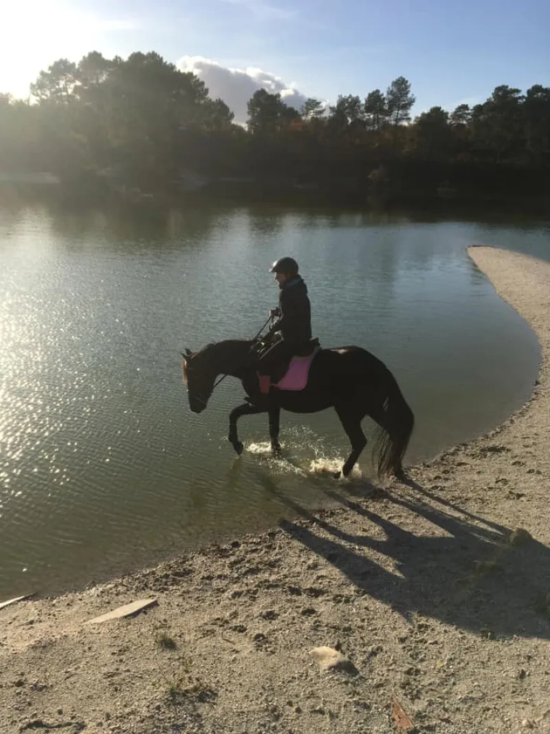 Equizarra Poney Club A Castres Gironde Realisation 14