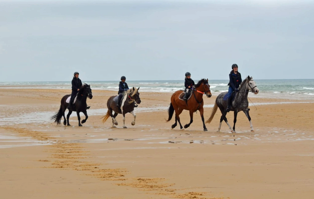 Equizarra Poney Club A Castres Gironde Realisation 15