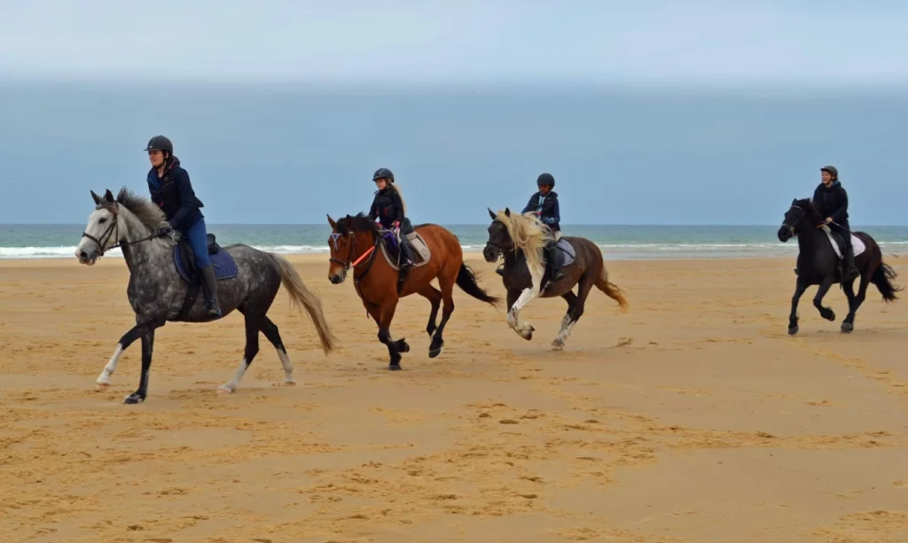 Equizarra Poney Club A Castres Gironde Realisation 17