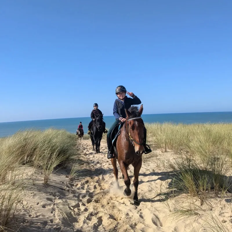 Equizarra Poney Club A Castres Gironde Realisation 28