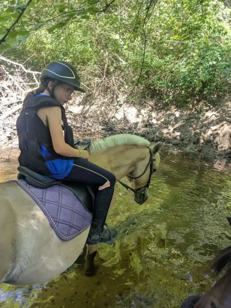 Equizarra Poney Club A Castres Gironde Realisation 30