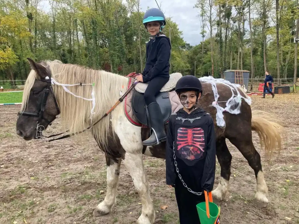 Equizarra Poney Club A Castres Gironde Realisation 4