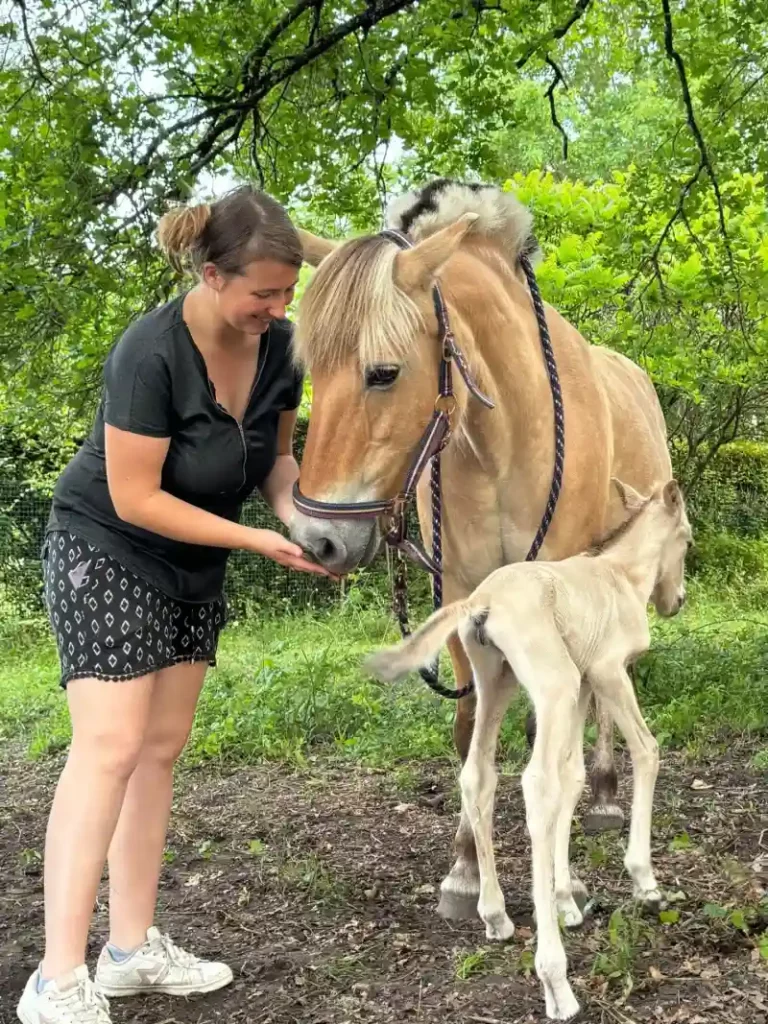 Equizarra Poney Club A Castres Gironde Realisation 43