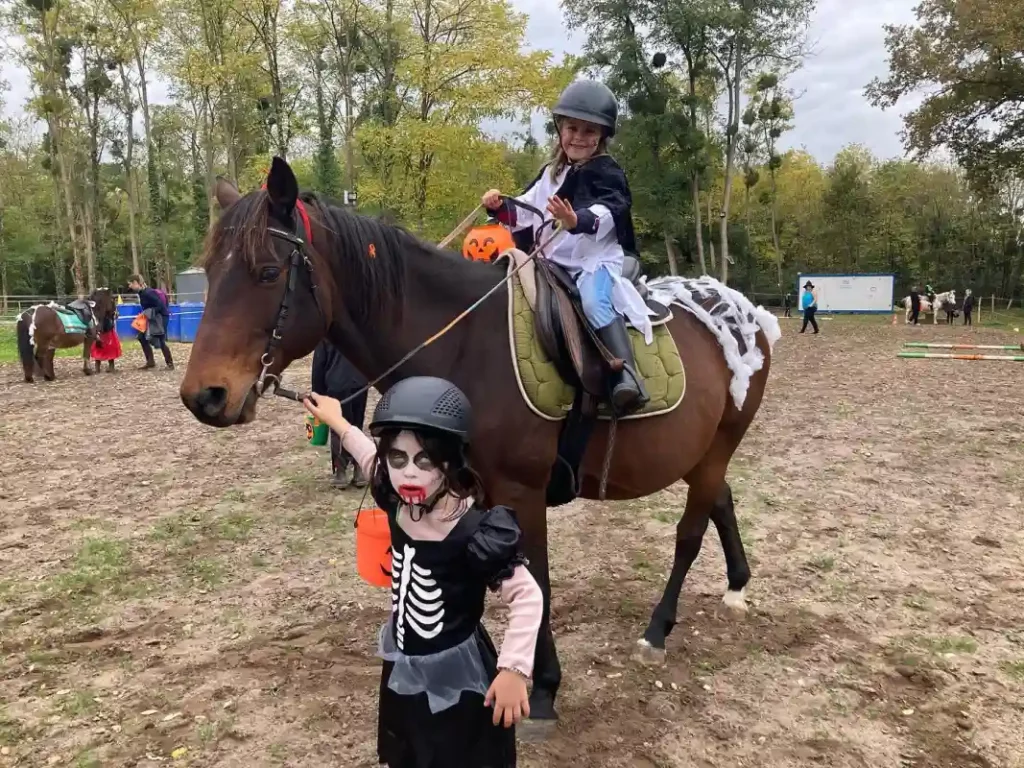 Equizarra Poney Club A Castres Gironde Realisation 5