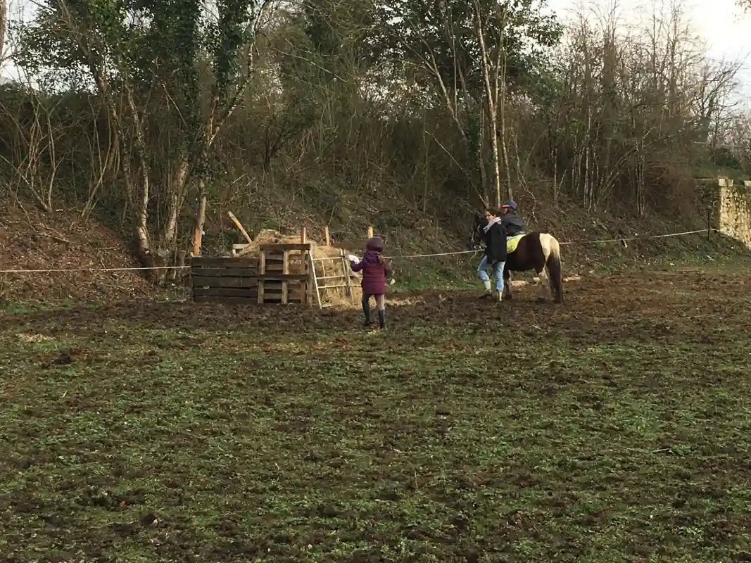 Equizarra Poney Club A Castres Gironde Actualites 14