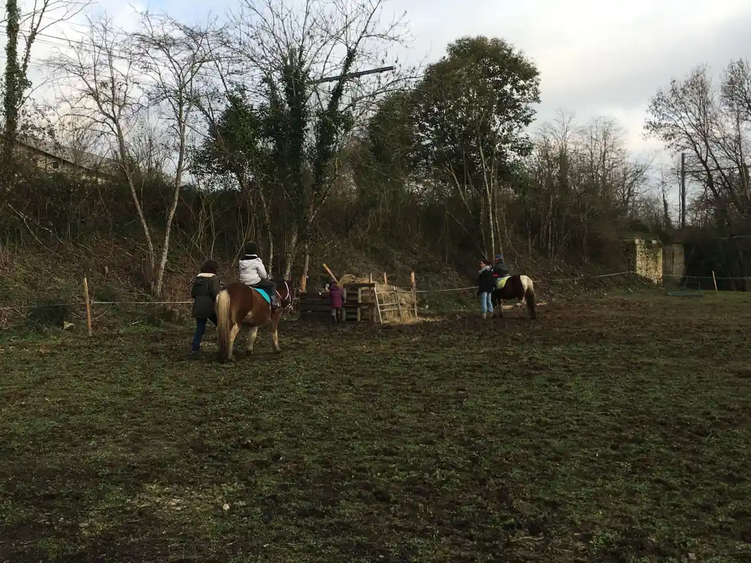 Equizarra Poney Club A Castres Gironde Actualites 15