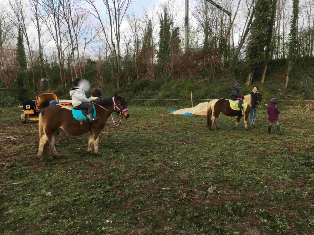 Equizarra Poney Club A Castres Gironde Actualites 16