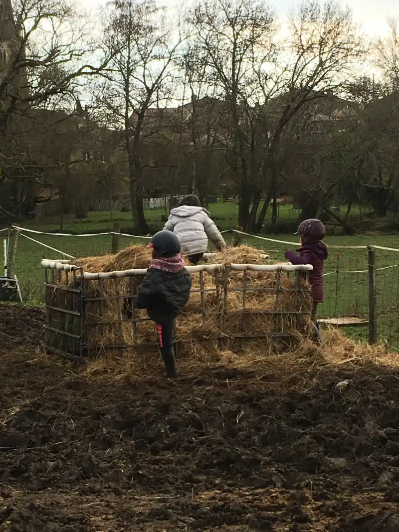 Equizarra Poney Club A Castres Gironde Actualites 17