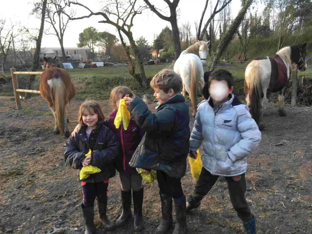 Equizarra Poney Club A Castres Gironde Actualites 20