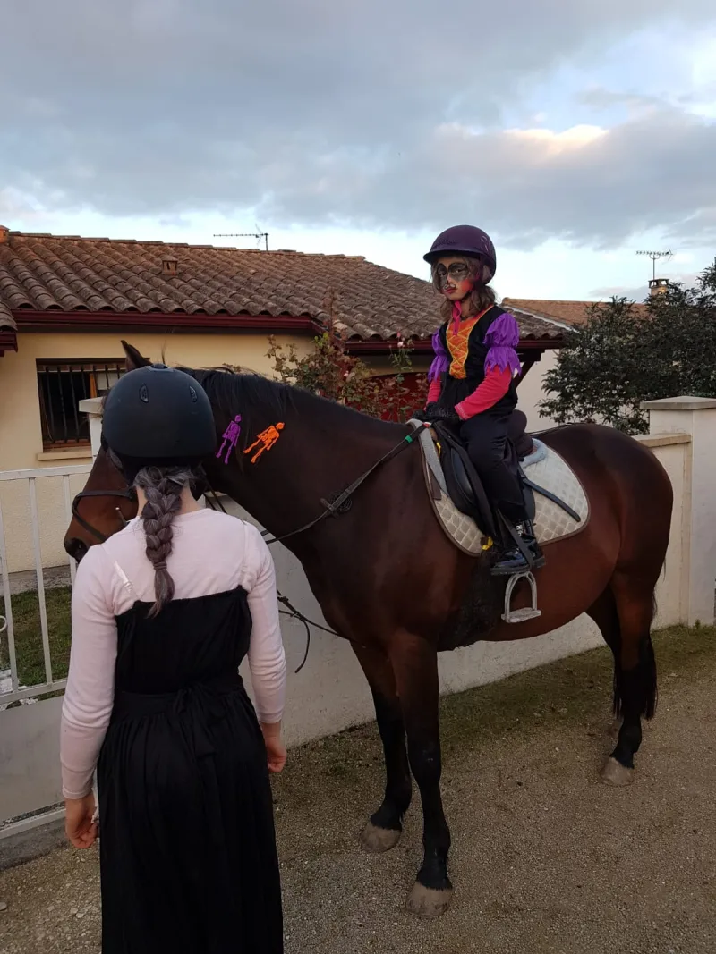Equizarra Poney Club A Castres Gironde Actualites 22