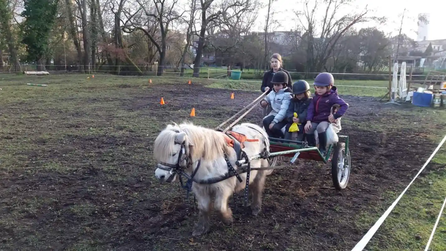 Equizarra Poney Club A Castres Gironde Actualites 3
