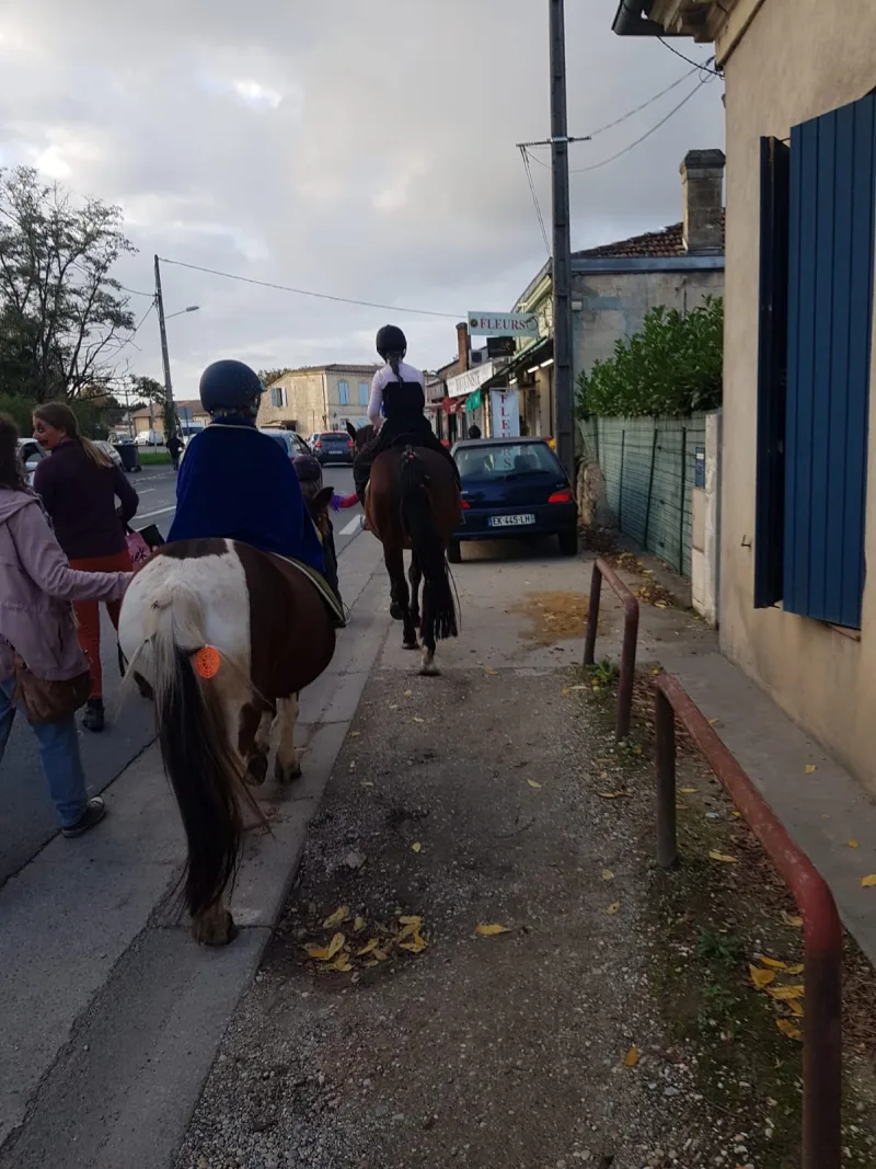 Equizarra Poney Club A Castres Gironde Actualites 5